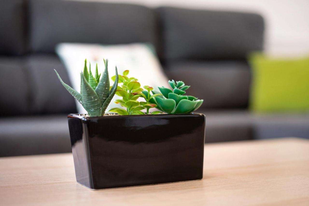 Casa Cactus *